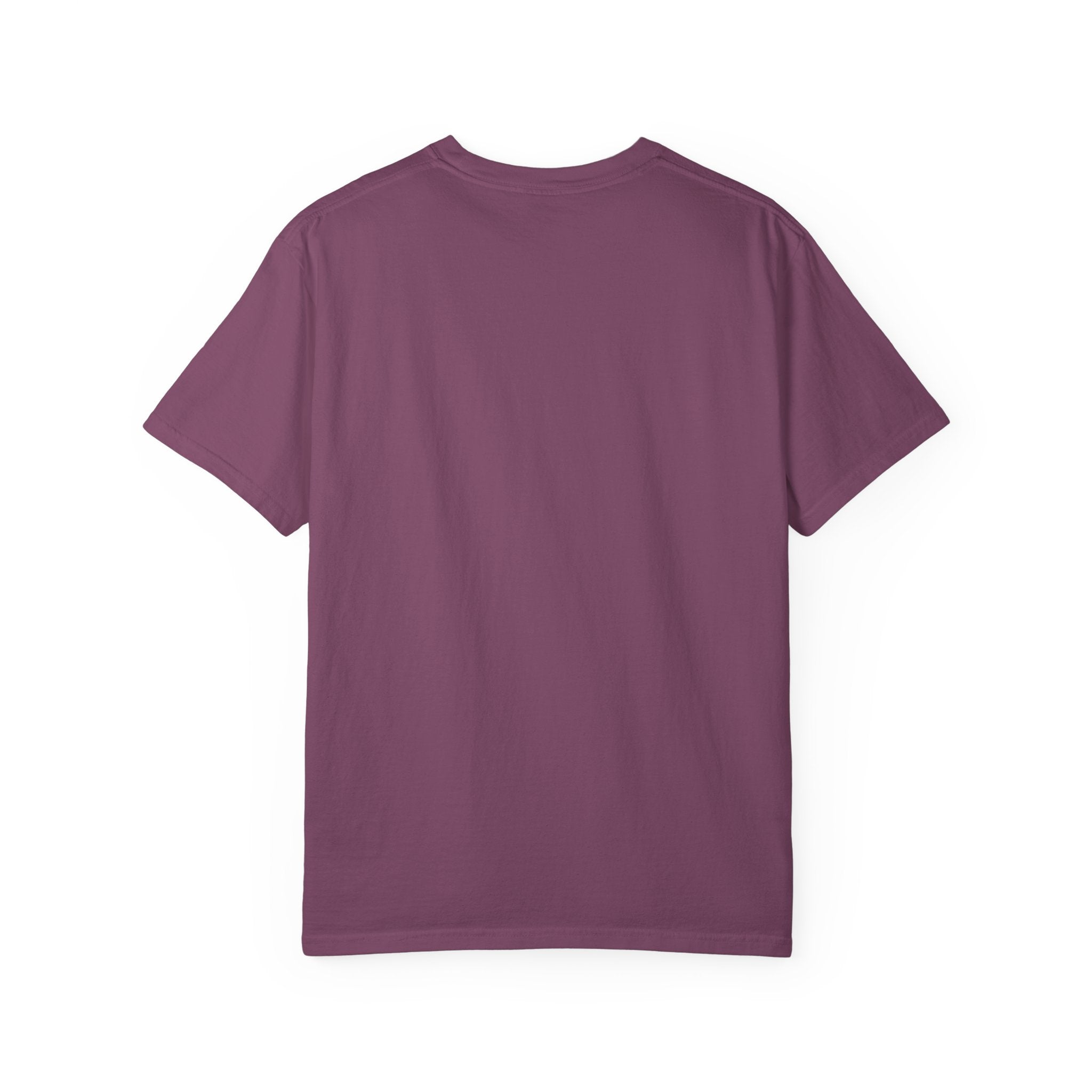RIP Twenties Shirt | Funny 30th Birthday Comfort Colors Tee | Dirty Thirty Shirt | Vintage Graphic T-Shirt | Turning 30 Gift