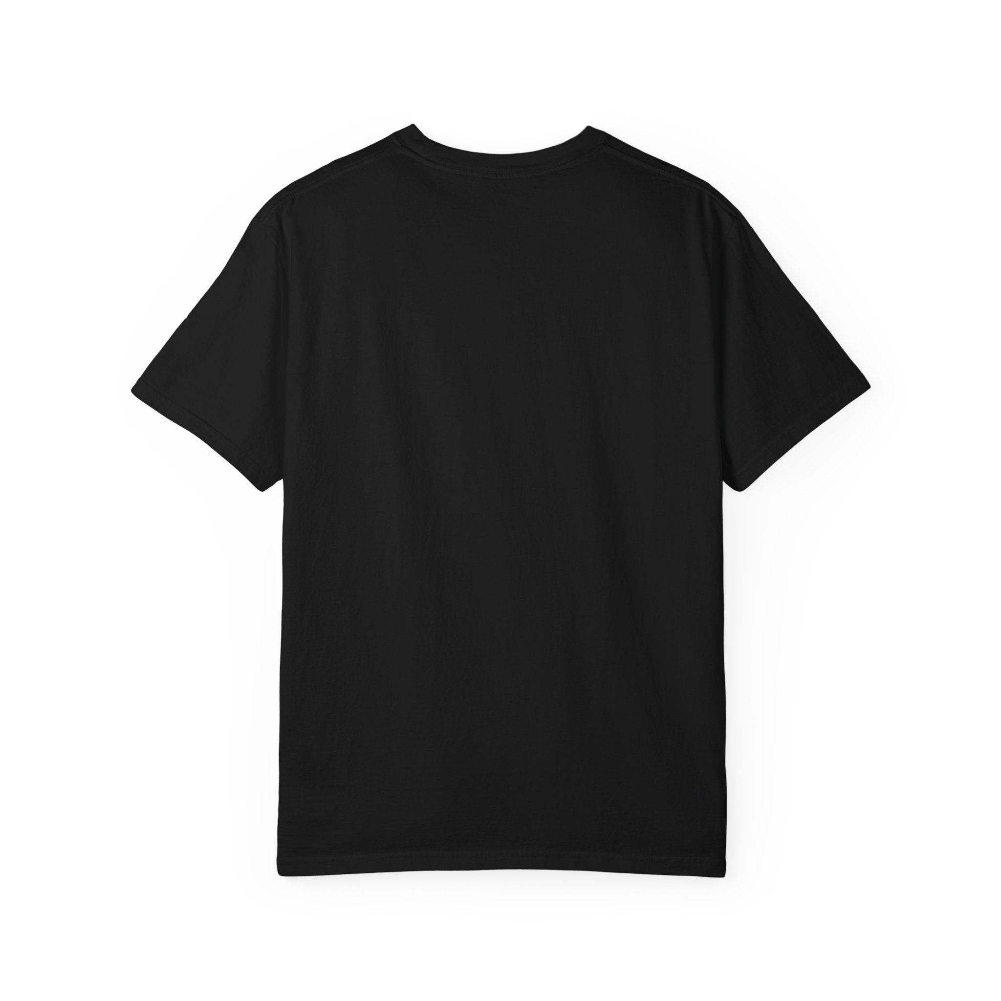 RIP Twenties Shirt | Funny 30th Birthday Comfort Colors Tee | Dirty Thirty Shirt | Vintage Graphic T-Shirt | Turning 30 Gift
